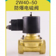 2W40-50防爆电磁阀