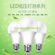 潍坊豪德低压led灯泡  led灯泡批发